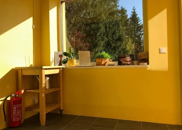 Leto Frýdek-Místek